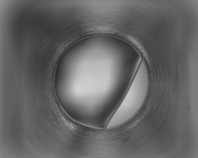 X0000073390481200607280913