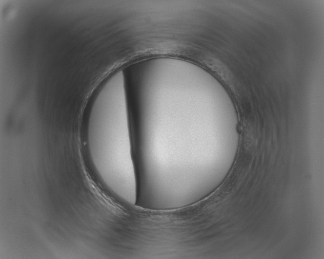 X0000073390482200607280913