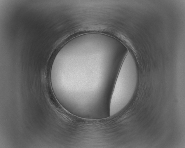 X0000073390483200607280913
