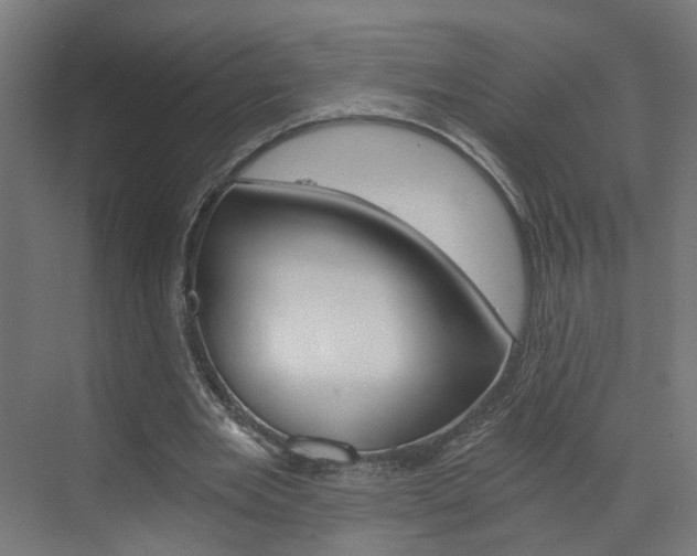 X0000073390485200607280913