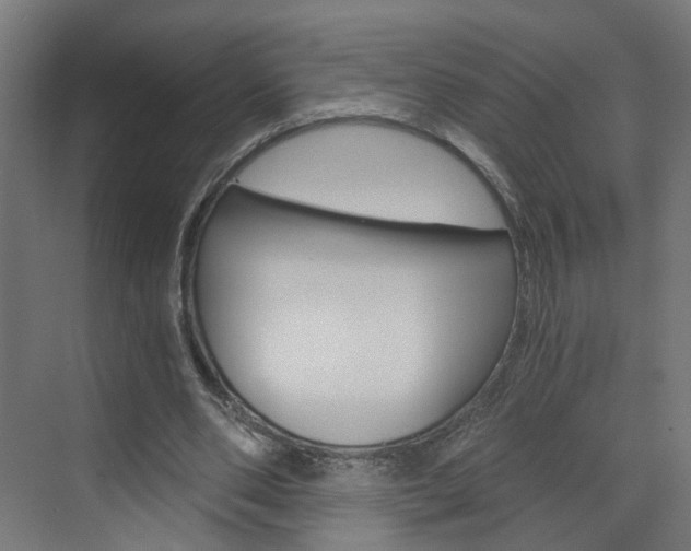 X0000073390486200607280913