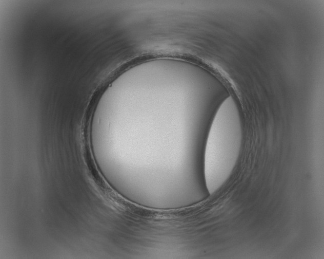 X0000073390487200607280913