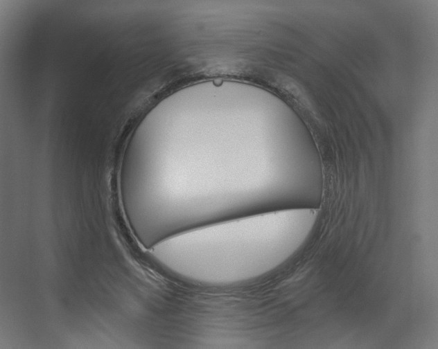 X0000073390491200607280913