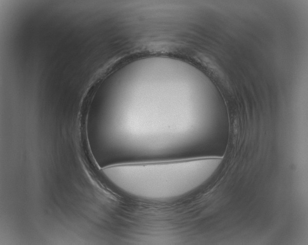 X0000073390492200607280913