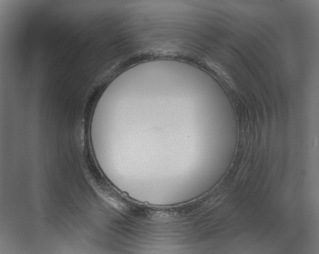 X0000073390494200607280913