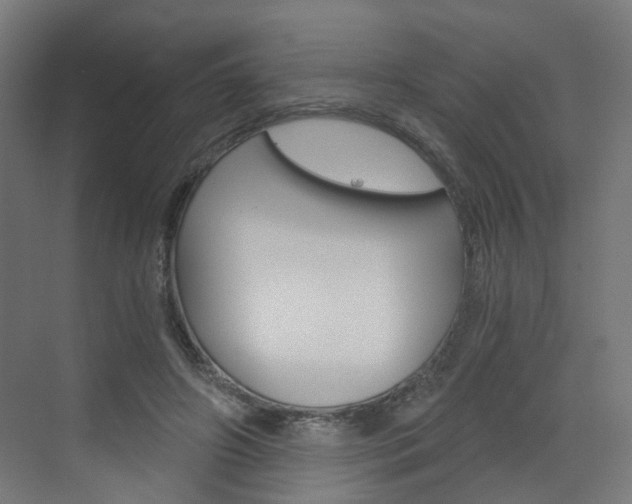 X0000073390498200607280913