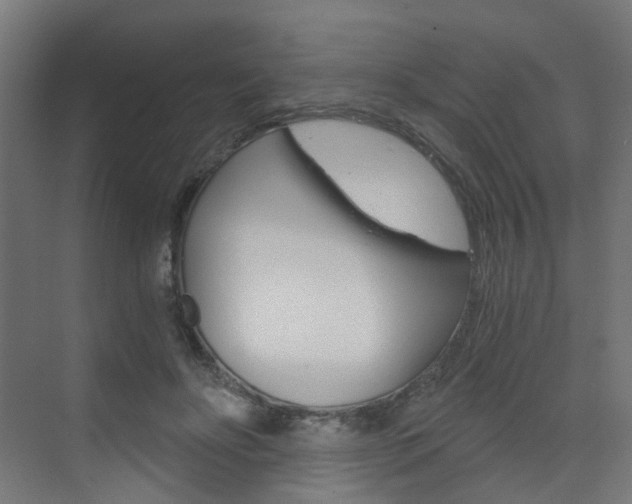 X0000073390502200607280912