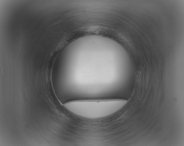 X0000073390504200607280912