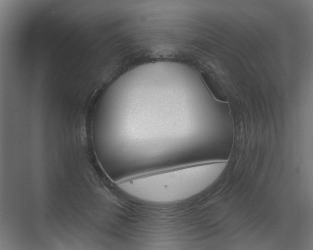 X0000073390508200607280912