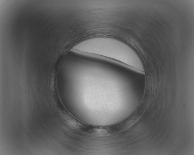 X0000073390509200607280912