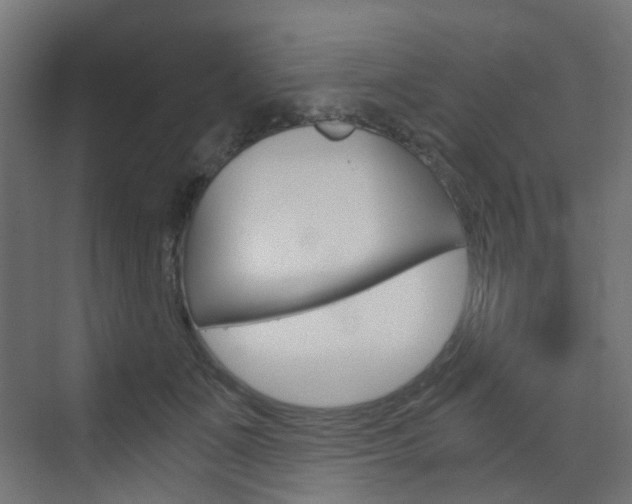 X0000073390511200607280912