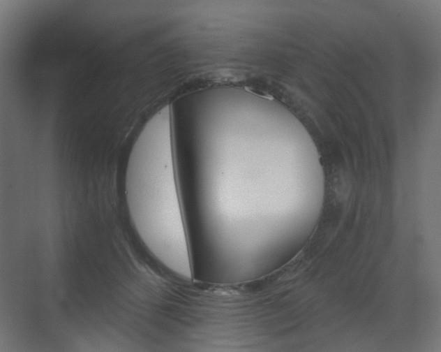 X0000073390512200607280912