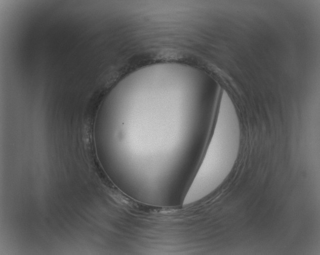 X0000073390517200607280912