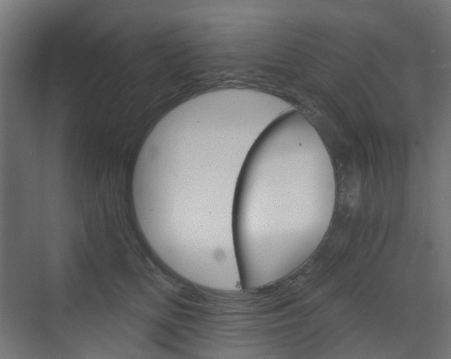 X0000073390518200607280912