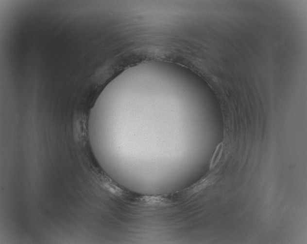 X0000073390528200607280912
