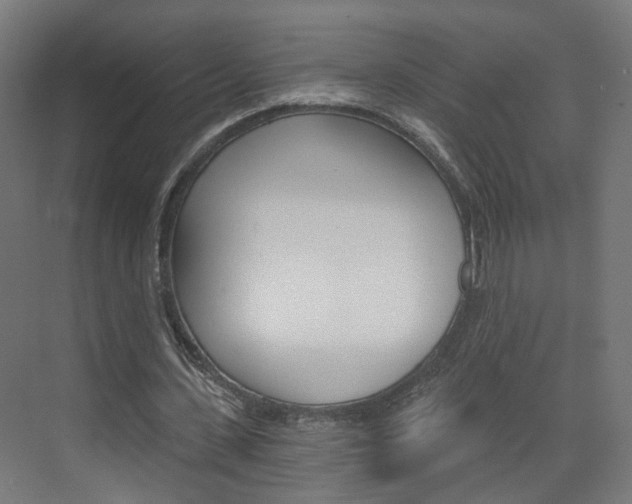 X0000073390531200607280911