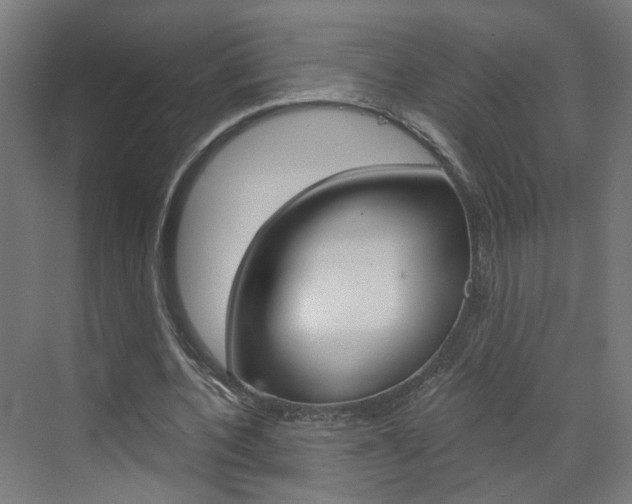 X0000073390532200607280911