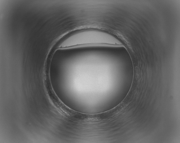 X0000073390536200607280911