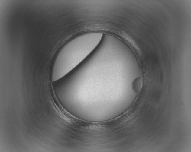 X0000073390537200607280911