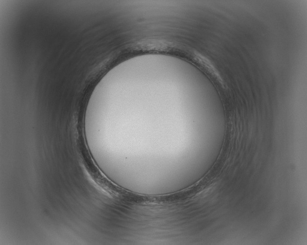 X0000073390538200607280911