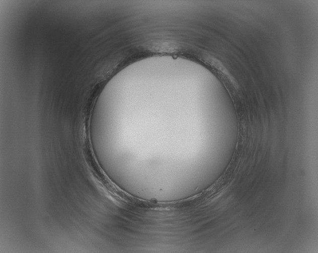 X0000073390541200607280911