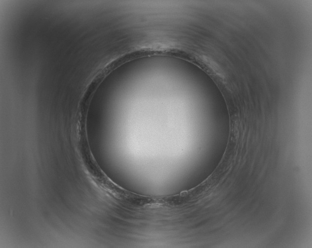 X0000073390544200607280911