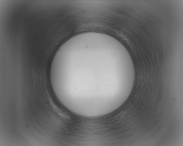X0000073390546200607280912