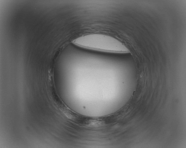X0000073390555200607280912