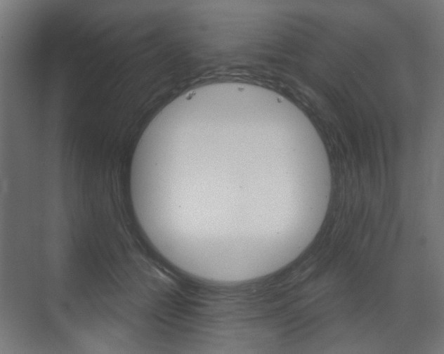 X0000073390558200607280912