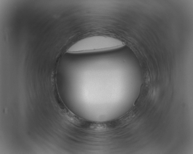 X0000073390559200607280912