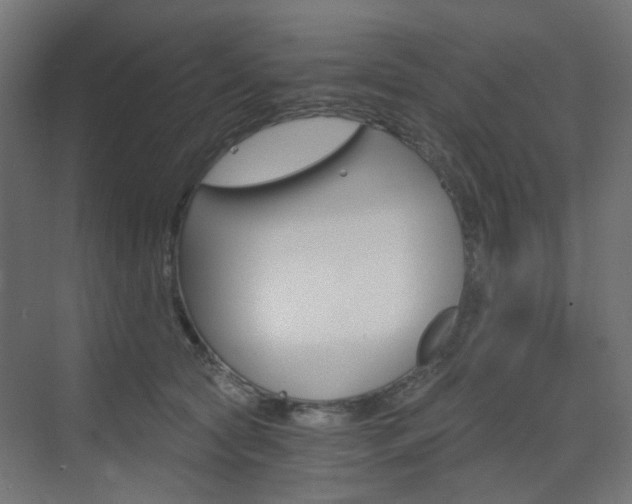 X0000073390561200607280912