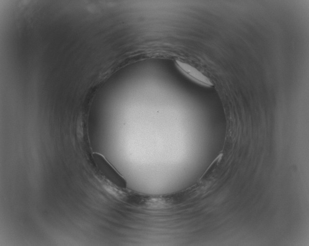 X0000073390562200607280912