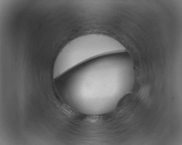 X0000073390563200607280912