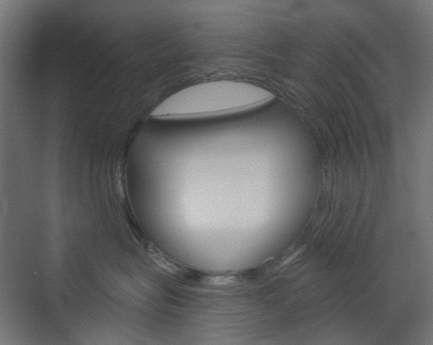 X0000073390575200607280912