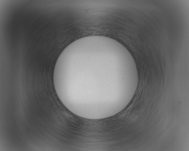 X0000073390576200607280912