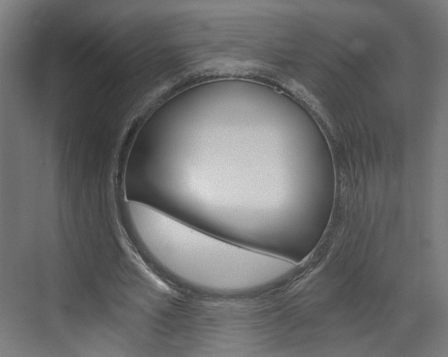 X0000073390581200607280911