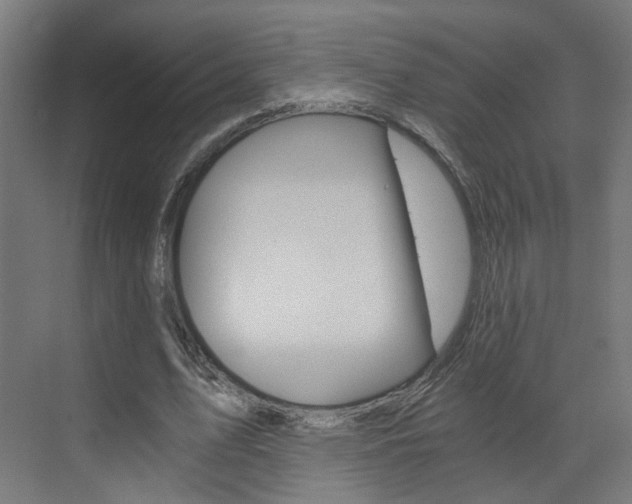X0000073390583200607280911