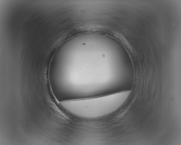 X0000073390585200607280911