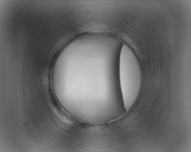 X0000073390586200607280911