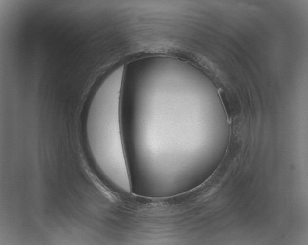 X0000073390589200607280911