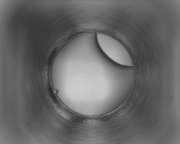 X0000073390590200607280911