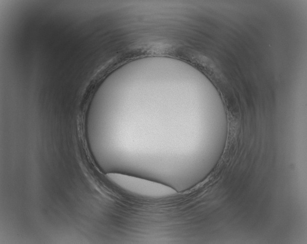 X0000073390591200607280911