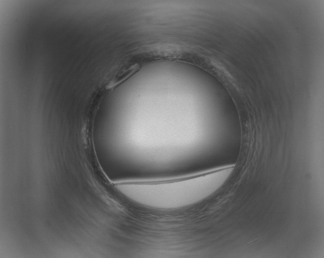 X0000073390597200607280911