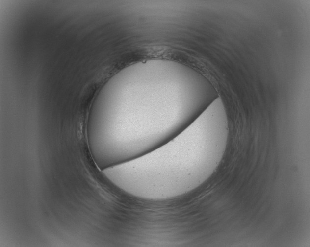 X0000073390602200607280911