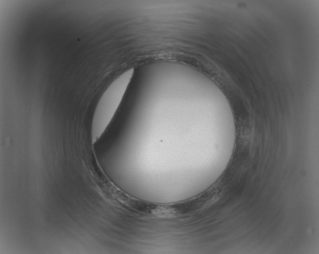 X0000073390603200607280911