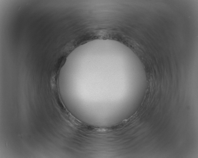 X0000073390611200607280911