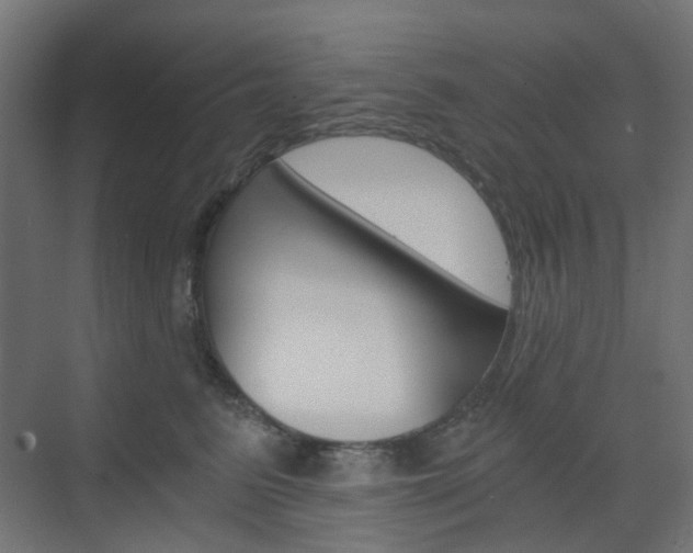 X0000073390615200607280911
