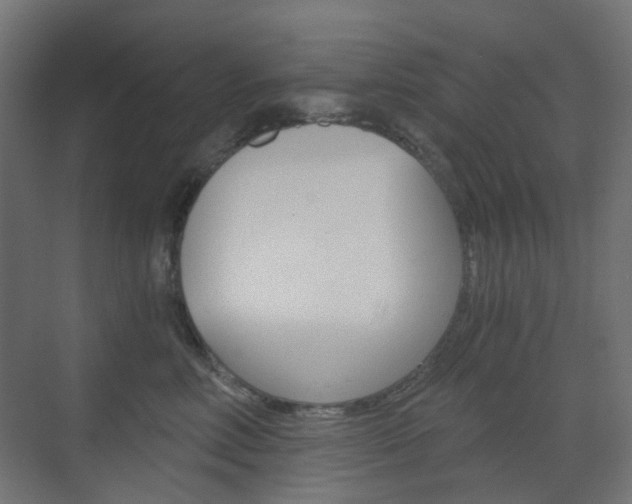 X0000073390618200607280911
