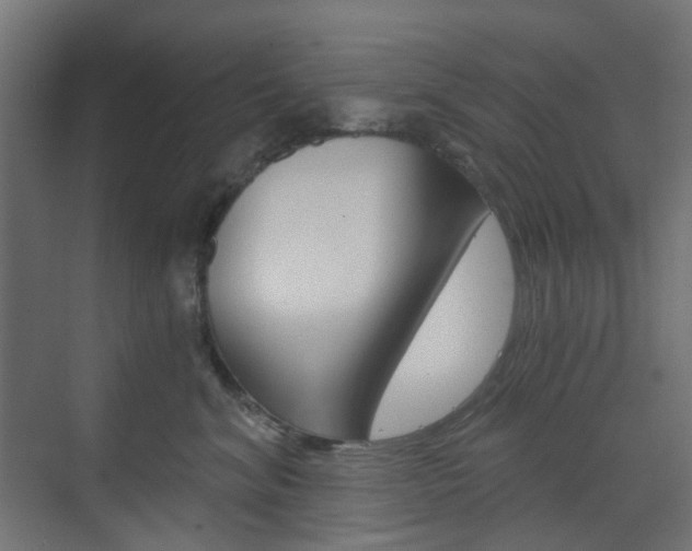 X0000073390620200607280910