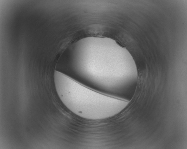 X0000073390623200607280910